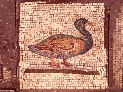 A Duck (detail) by Roman